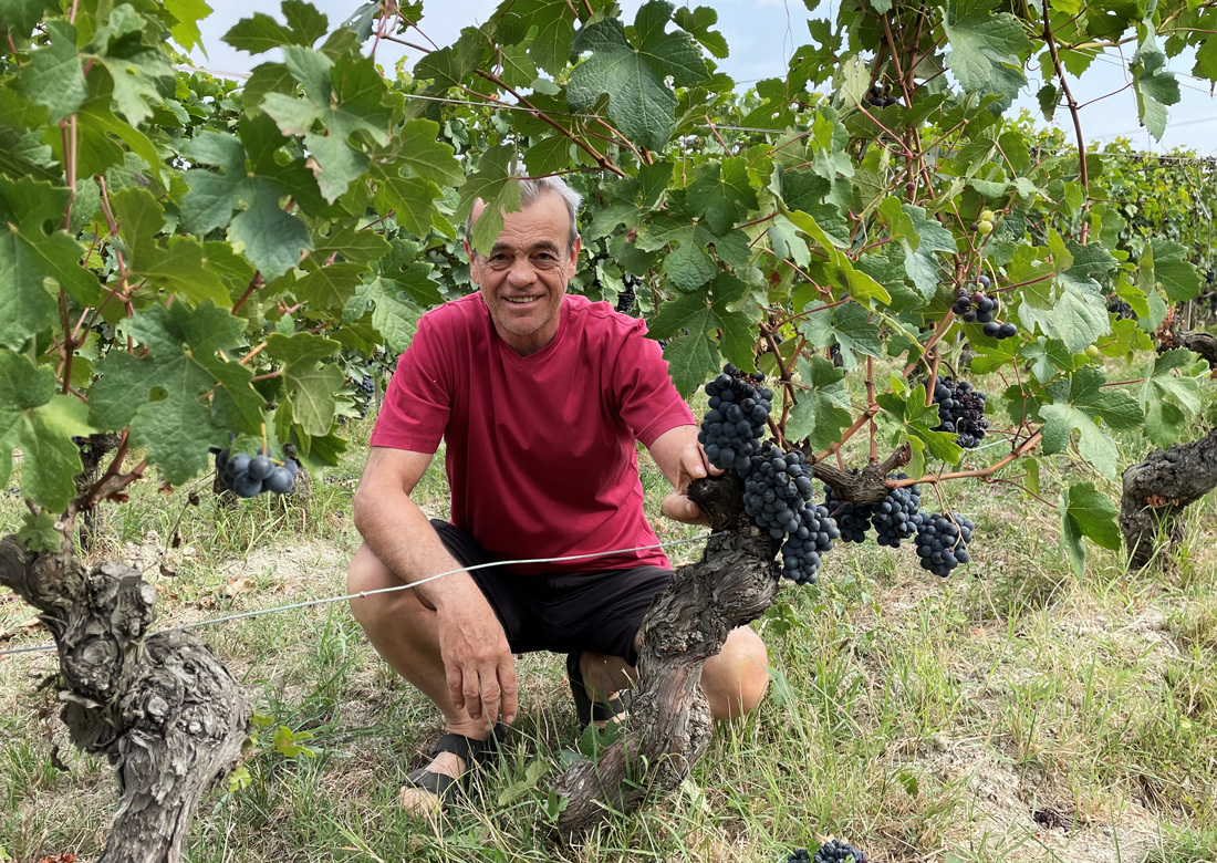 Eraldo Viberti, La Morra, Piemont